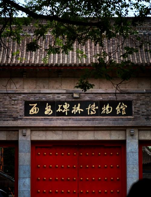 坚定文化自信   走书法之正道