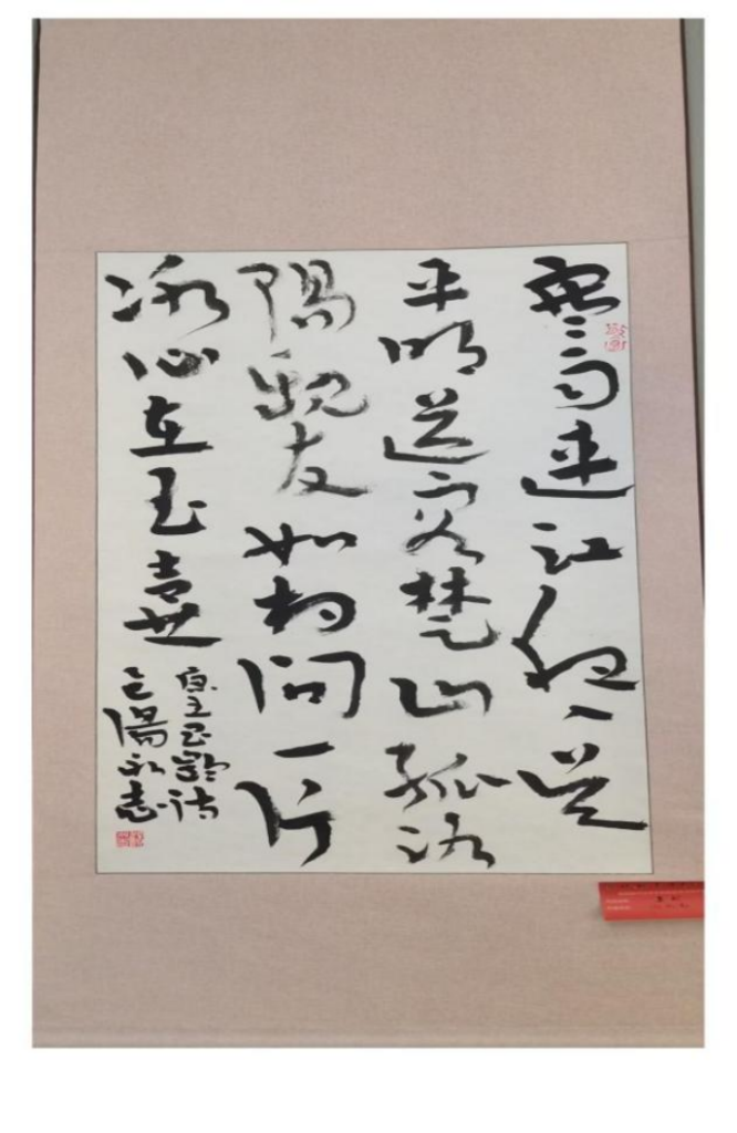 将军故里谱华章 红色墨韵绘新春