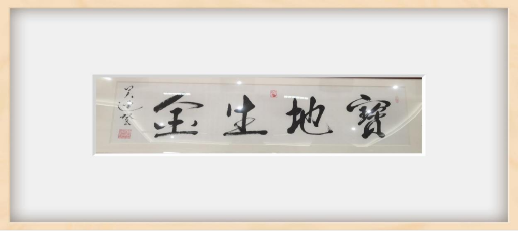 将军故里谱华章 红色墨韵绘新春