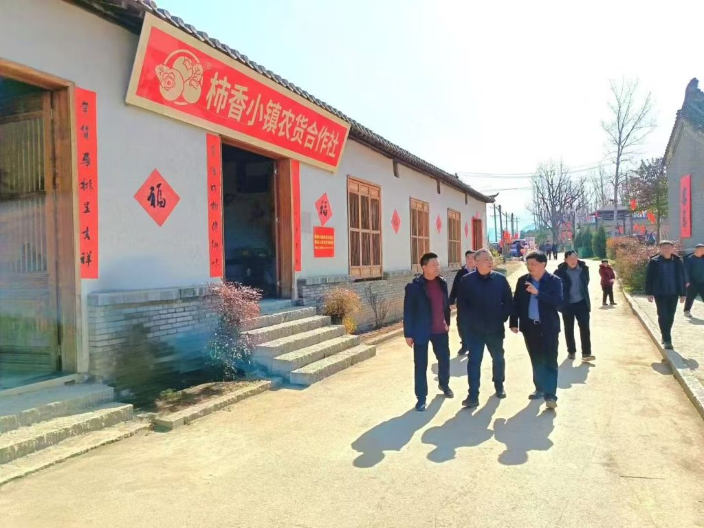 新春走基层：王瑞调研洛宁柿乡小镇 擘画乡村振兴新蓝图