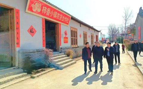 新春走基层：王瑞调研洛宁柿乡小镇 擘画乡村振兴新蓝图