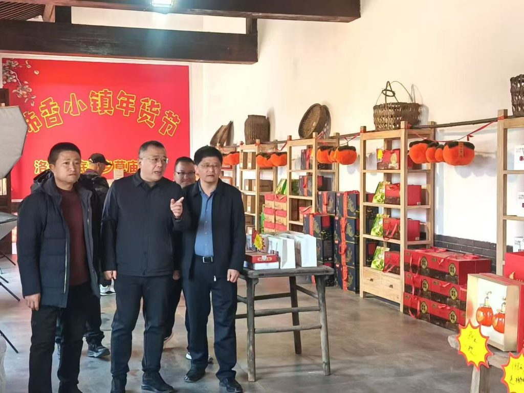新春走基层：王瑞调研洛宁柿乡小镇 擘画乡村振兴新蓝图