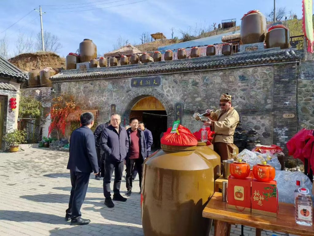 新春走基层：王瑞调研洛宁柿乡小镇 擘画乡村振兴新蓝图