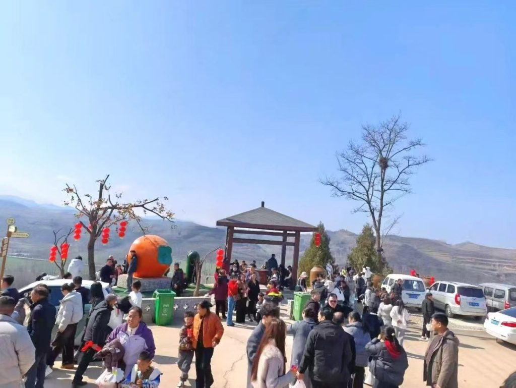 新春走基层：王瑞调研洛宁柿乡小镇 擘画乡村振兴新蓝图